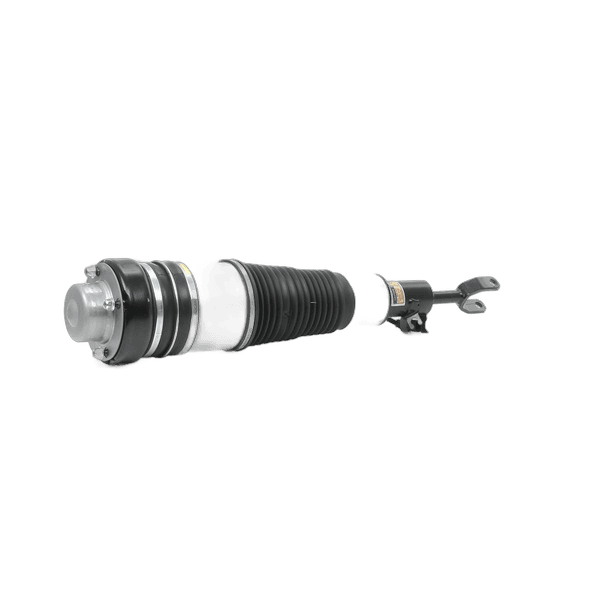 Strut Assembly - Thumbnail 3