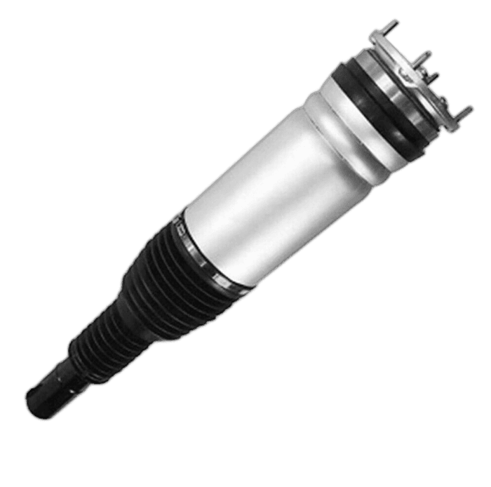 Strut Assembly