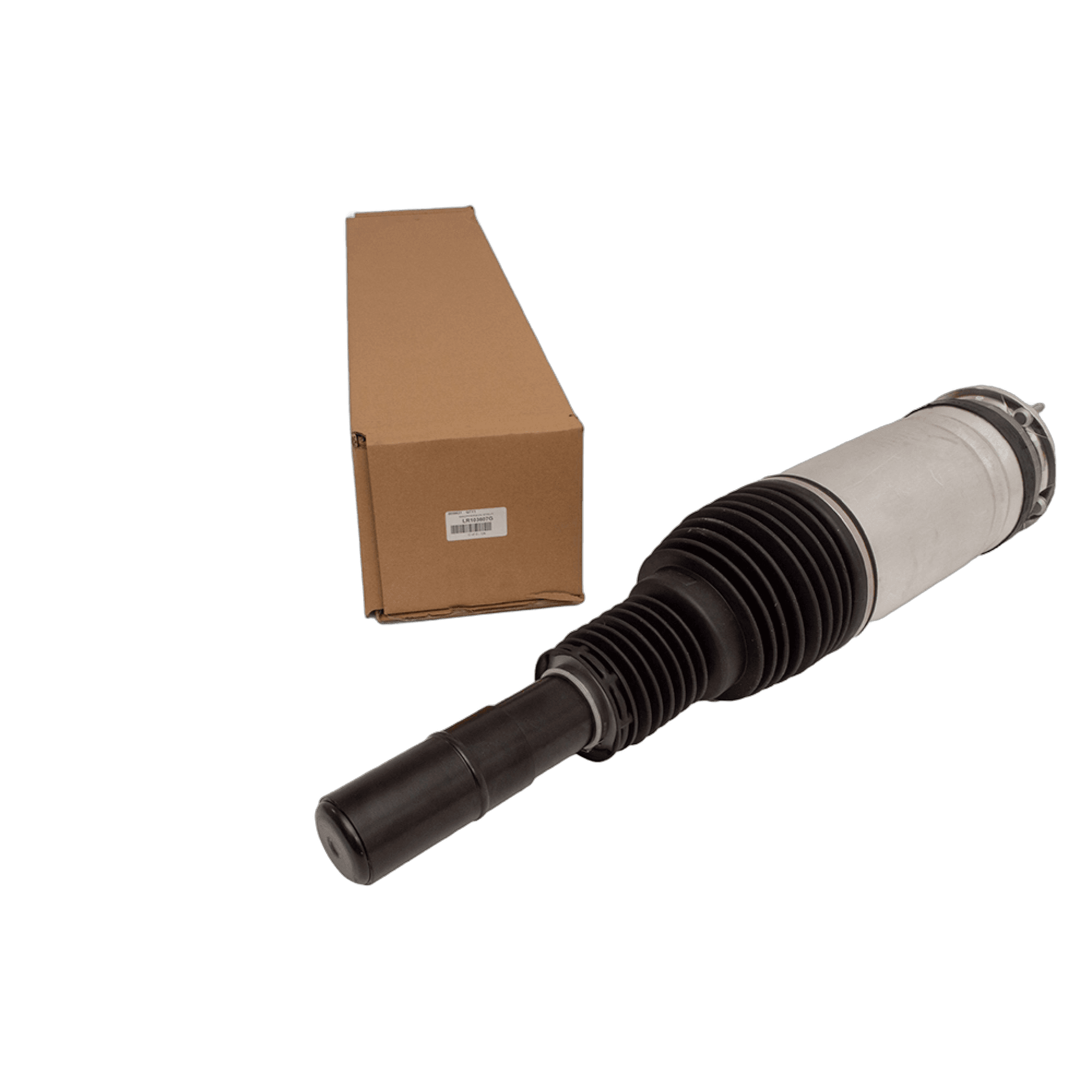 Strut Assembly